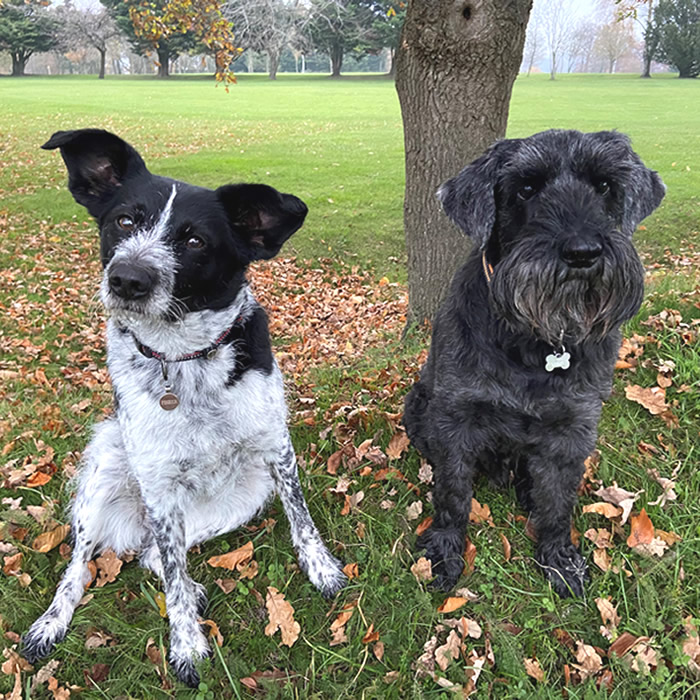 Bruno and Betty